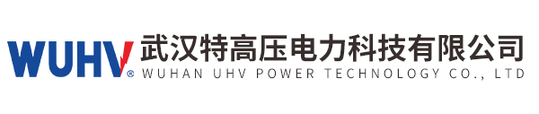 武汉特高压电力科技有限公司